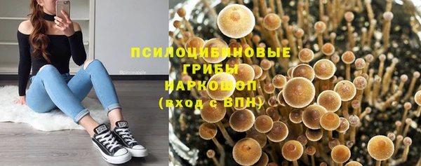 кристаллы Лагань