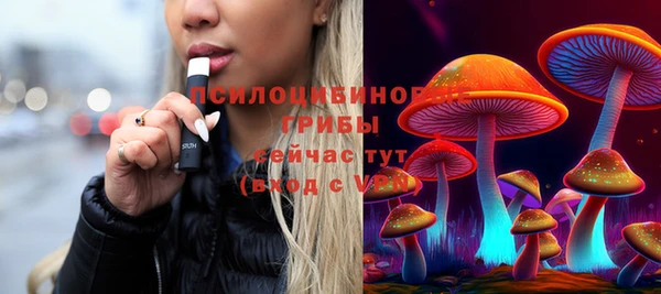 MESCALINE Лабытнанги
